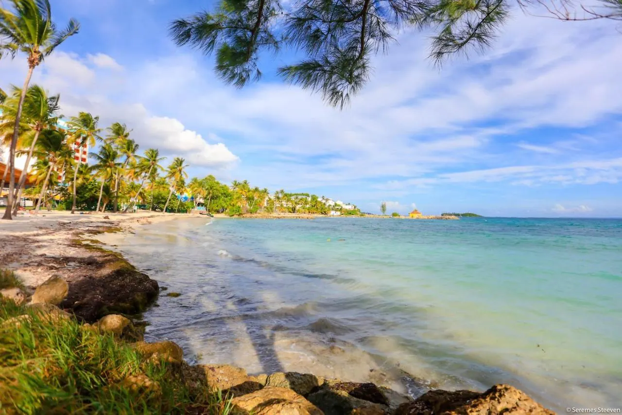 Studio Chic Avec Son Acces Plage Et Sans Coupure D'Eau Le Gosier  Guadeloupe